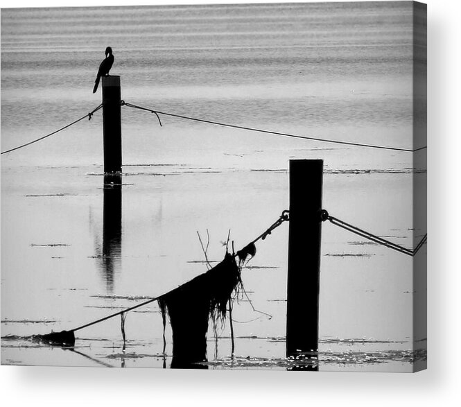 Nature Acrylic Print featuring the photograph Lake Silhouettes by Deborah Smith