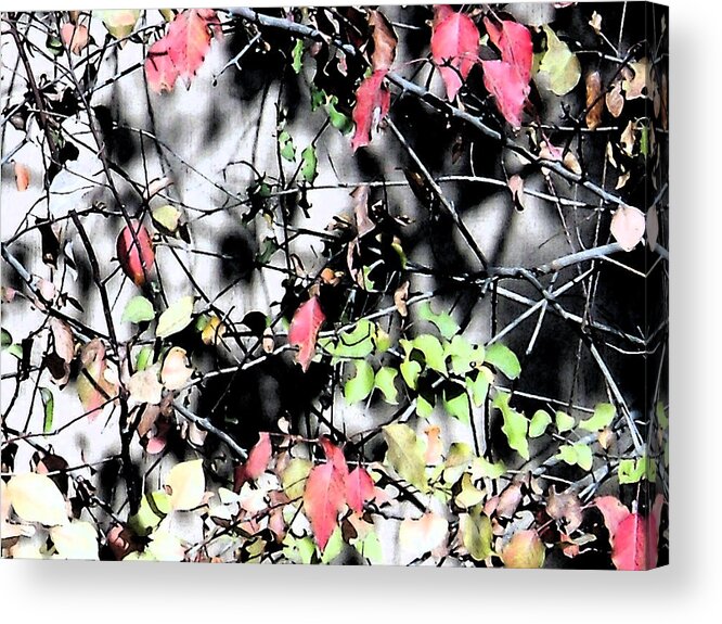 Leaf Acrylic Print featuring the digital art Last Leaves by Eric Forster