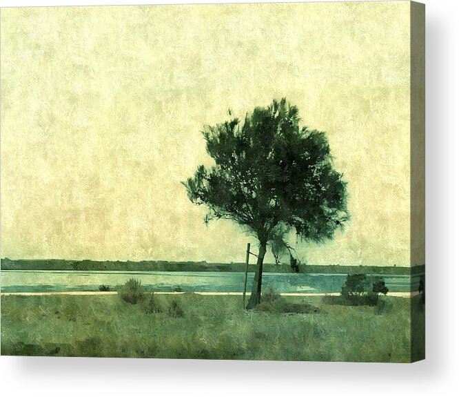 Tree Acrylic Print featuring the photograph Leaning Tree by Anne Thurston