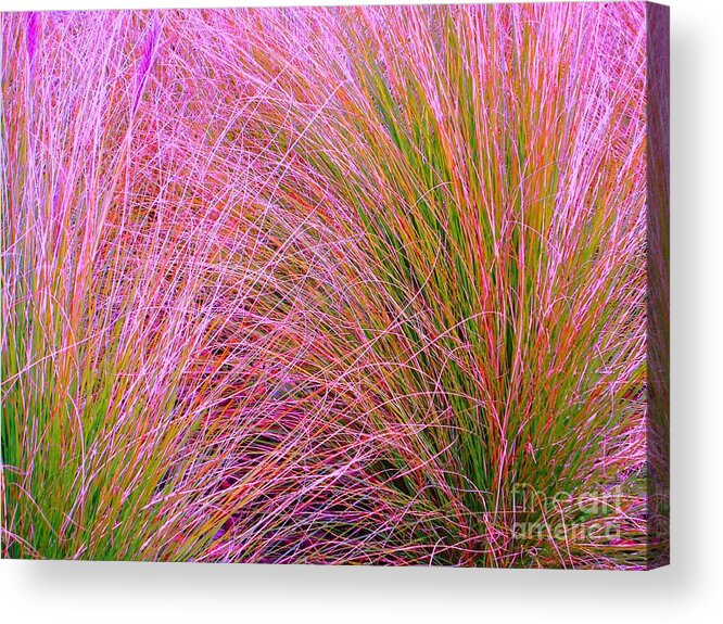 Leaf Acrylic Print featuring the photograph Leaves of Grass by Ann Johndro-Collins