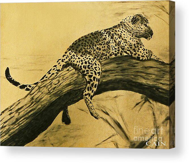 Africa.leopard Acrylic Print featuring the painting Leopard in Tree Art Print by William Cain