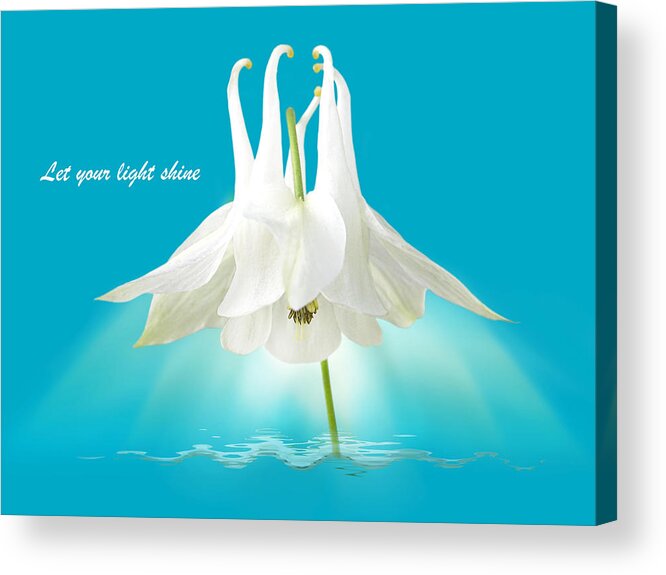 Turquoise Flowers Acrylic Print featuring the photograph Let Your Light Shine by Gill Billington