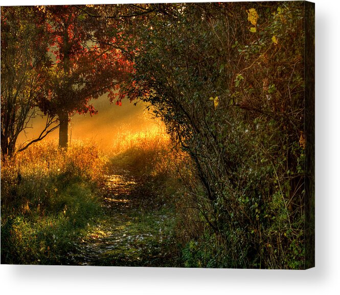 Path Acrylic Print featuring the photograph Lighted Path by Thomas Young