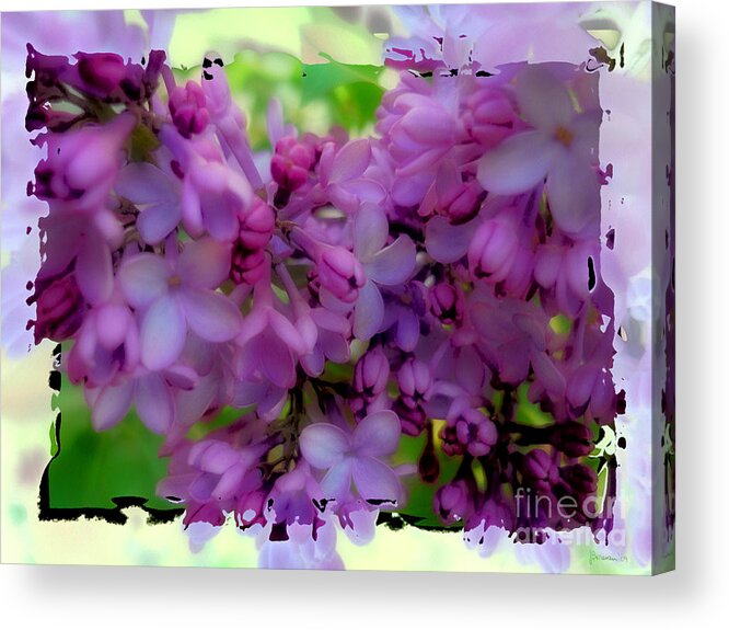 Lilacs Acrylic Print featuring the photograph Lilacs by Jeff Breiman
