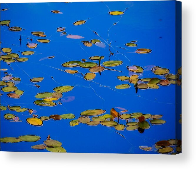 Lilly Acrylic Print featuring the tapestry - textile Lilly Pads by Dennis Bucklin