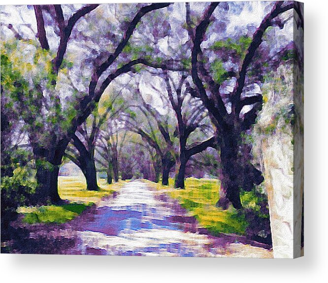 Live Oaks Acrylic Print featuring the photograph Live oak tree entry by Patricia Greer