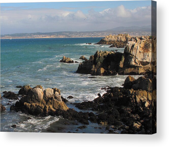 Seascape Acrylic Print featuring the photograph Living On The Edge by Derek Dean