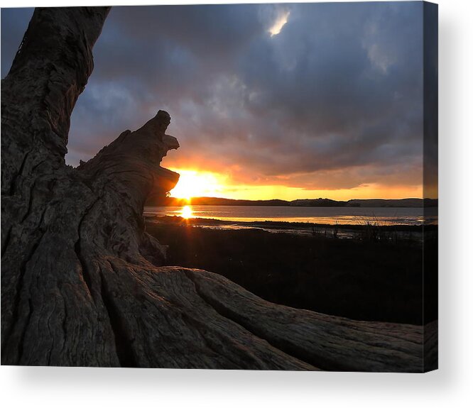 Los Osos Acrylic Print featuring the photograph Los Osos Driftwood by Paul Foutz