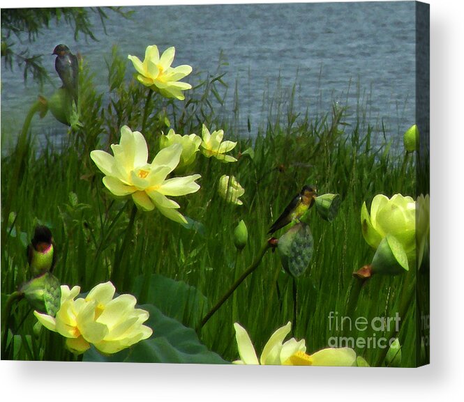 Flowers Acrylic Print featuring the photograph Lotus and Swallows by Deborah Smith