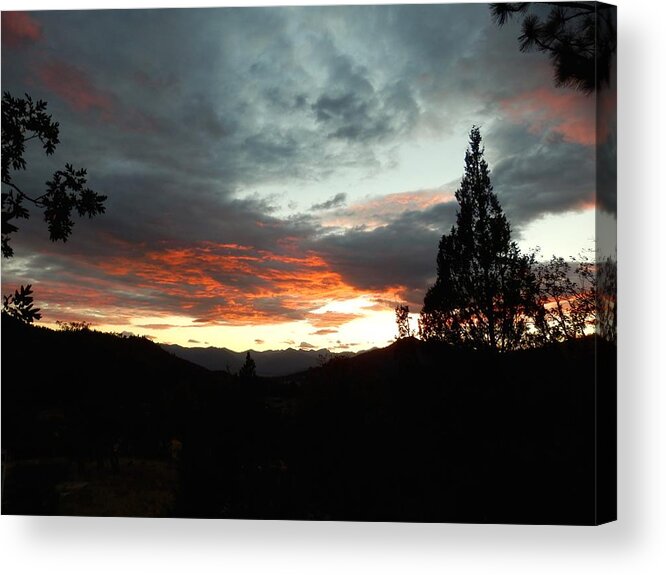 Natural Acrylic Print featuring the photograph Lush Evening View by William McCoy