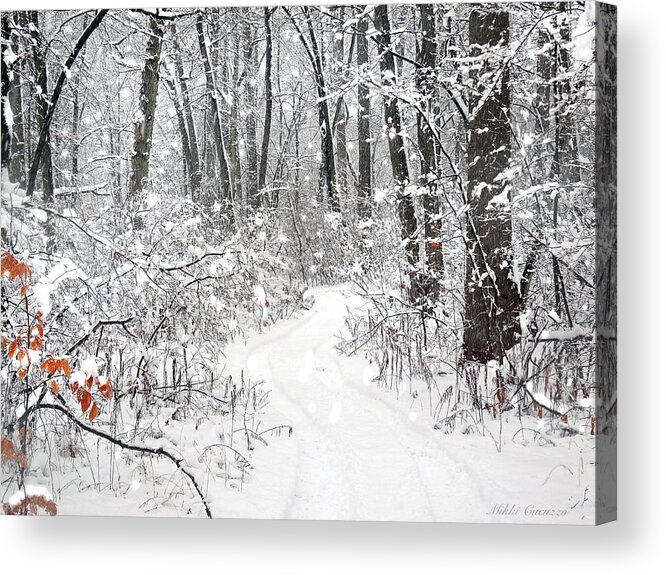 Winter Acrylic Print featuring the photograph Magical by Mikki Cucuzzo