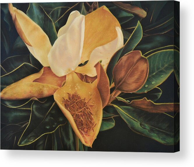 Pastel Acrylic Print featuring the pastel Magnolia - Pastel by Ben Kotyuk