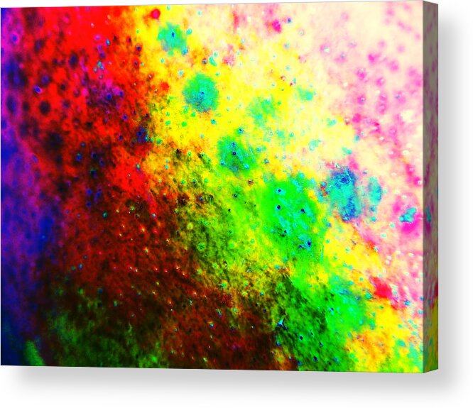 Fruit Acrylic Print featuring the photograph Mango Skin by Laurie Tsemak