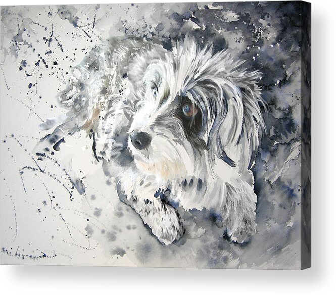 Dog Painting Acrylic Print featuring the painting Maya by Miki De Goodaboom