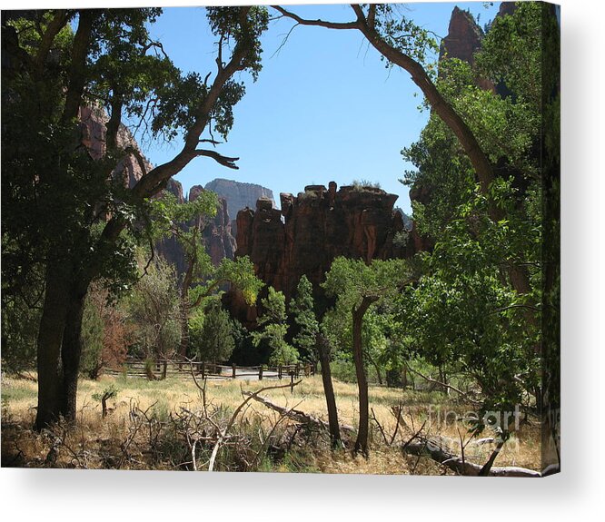 Zion Park Acrylic Print featuring the photograph Meadow Zion Park by Christiane Schulze Art And Photography