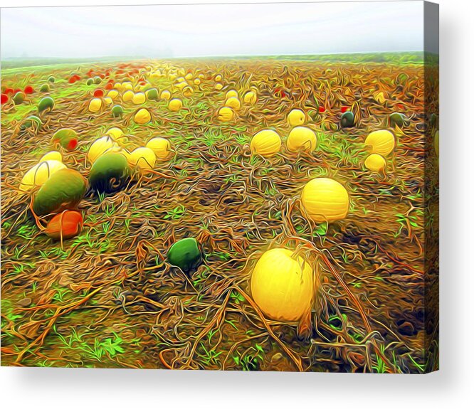 Nature Acrylic Print featuring the digital art Melon Patch by William Horden