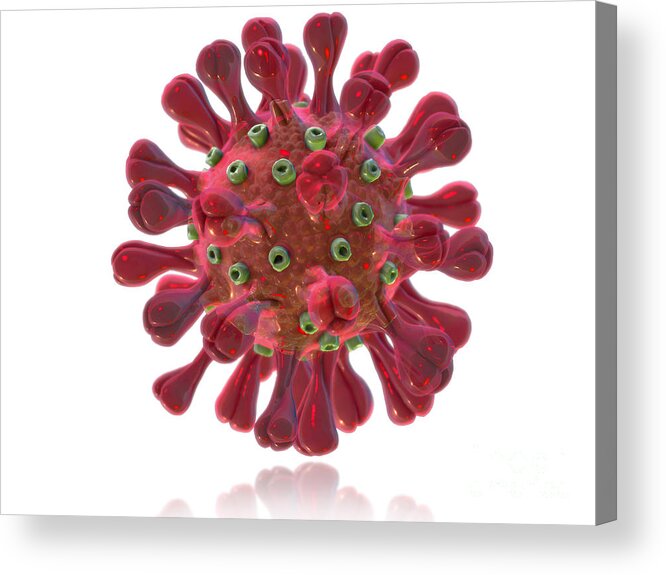 Virus Acrylic Print featuring the photograph Mers Coronavirus by Evan Oto