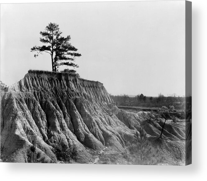 1936 Acrylic Print featuring the photograph Mississippi Erosion, 1936 by Granger