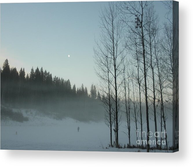 Mist Acrylic Print featuring the photograph Misty Meadow by Vivian Martin