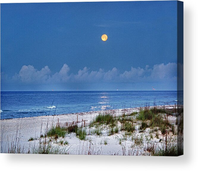 Alabama Photographer Acrylic Print featuring the digital art Moon Over Beach by Michael Thomas