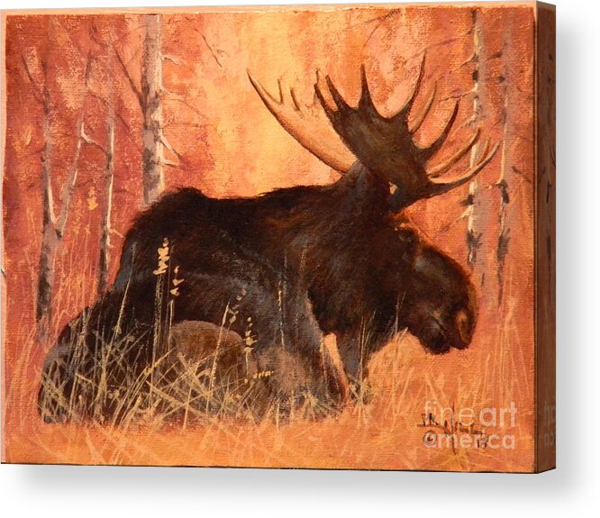 Moose Acrylic Print featuring the painting Moose at Rest by Paul K Hill