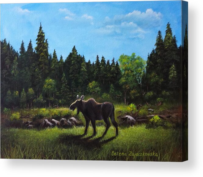 Moose Acrylic Print featuring the painting Moose by Bozena Zajaczkowska