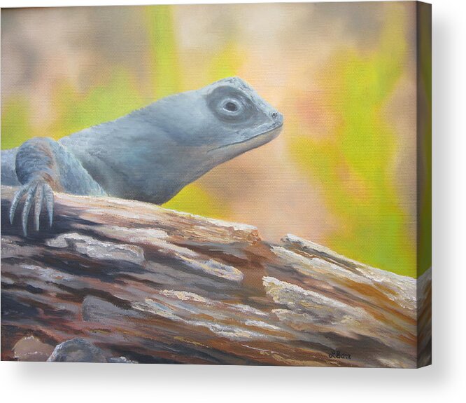 Lizard Acrylic Print featuring the painting Morning in Rice Canyon by Lisa Barr
