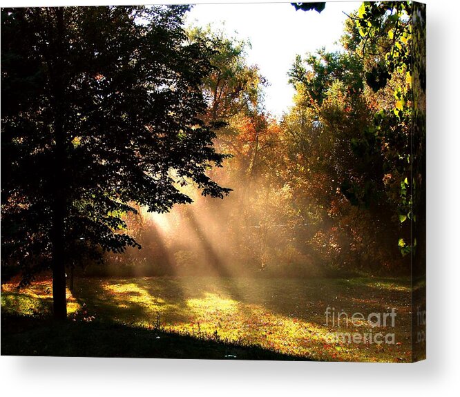 Autumn Acrylic Print featuring the photograph Morning Sunshine by Linda Cox