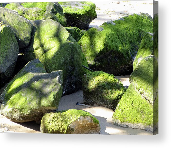 Moss Acrylic Print featuring the photograph Moss on the Rocks by Bob Slitzan