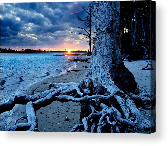 Through-darkness Acrylic Print featuring the photograph Motivational Landscape-Faith Hope Overcome-Tree Sunset by Eszra Tanner