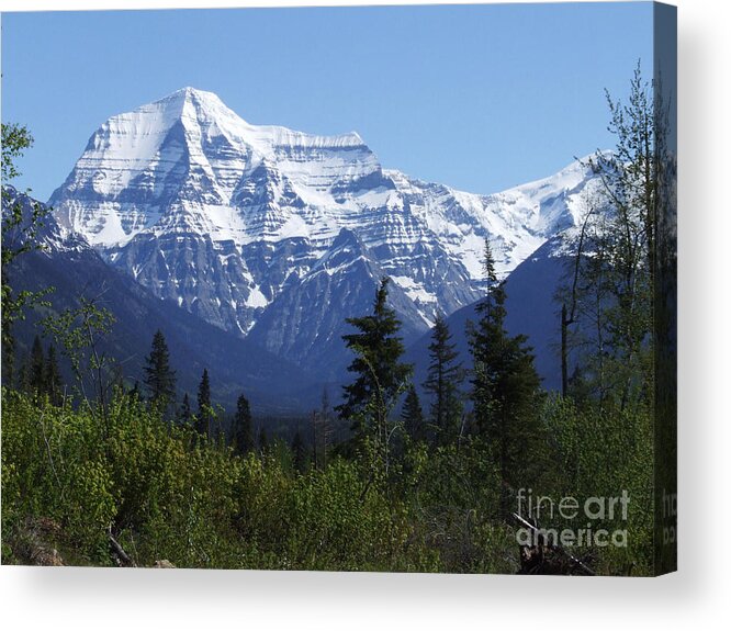 Mount Robson Acrylic Print featuring the photograph Mount Robson - Canada by Phil Banks