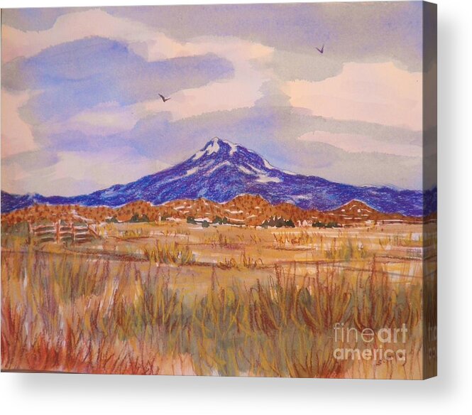 Mountain Acrylic Print featuring the painting Mt. Shasta by Suzanne McKay