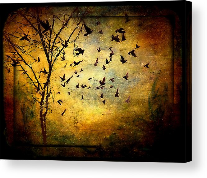 Musicisti Dell'aria Acrylic Print featuring the photograph Musicisti Dell'aria by Micki Findlay