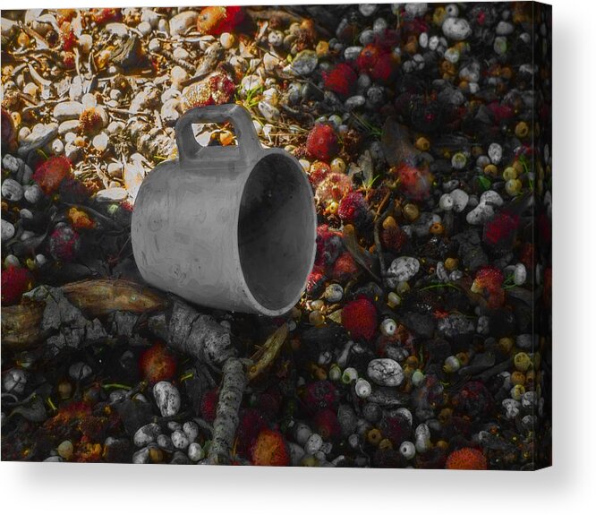 Berry Acrylic Print featuring the photograph My Cup Falleth Over by Steve Taylor