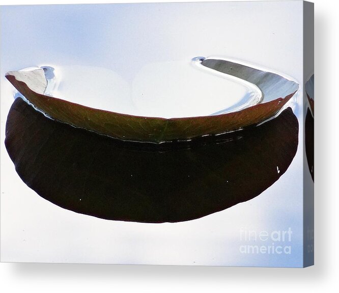 Natural Art Acrylic Print featuring the photograph Natural art by Karin Ravasio