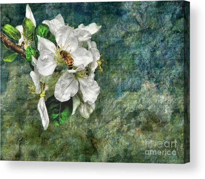Bee Acrylic Print featuring the photograph Natural High by Andrea Kollo