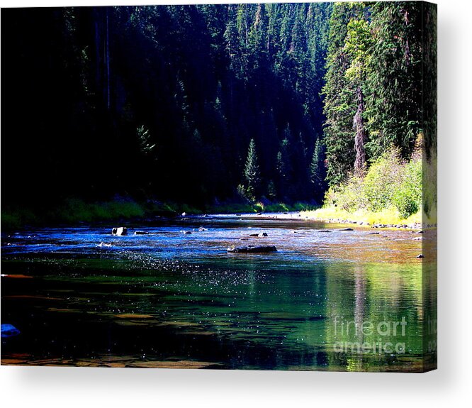 Art For The Wall...patzer Photography Acrylic Print featuring the photograph Natures Addiction by Greg Patzer
