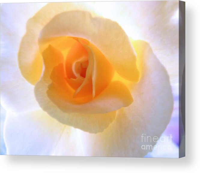 Flower Acrylic Print featuring the photograph Natures Beauty by Robyn King