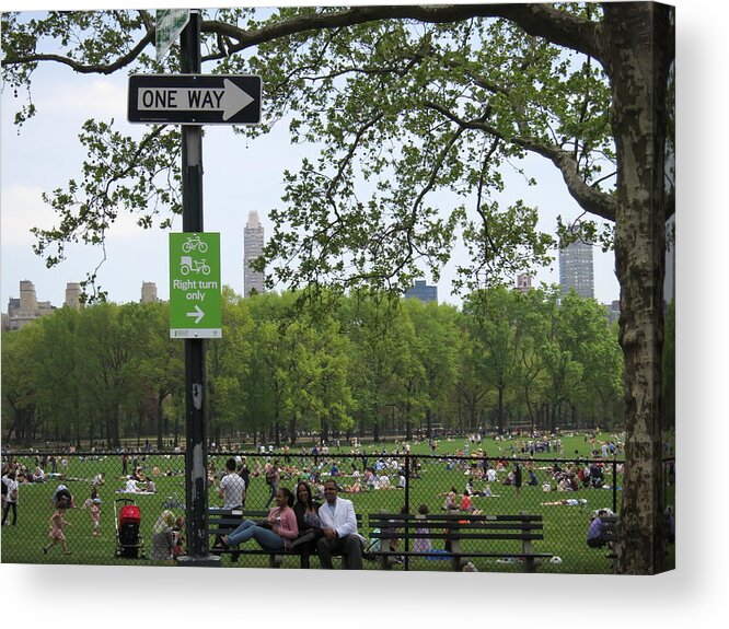 New Acrylic Print featuring the photograph New York City - Central Park - 121223 by DC Photographer