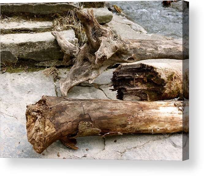 Log Acrylic Print featuring the photograph No Longer Adrift by Azthet Photography