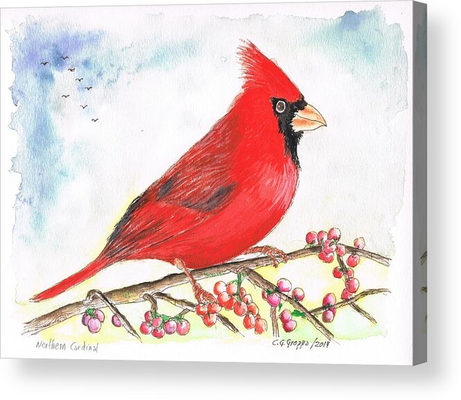 Birds Acrylic Print featuring the painting Northern Cardinal by Carlos G Groppa