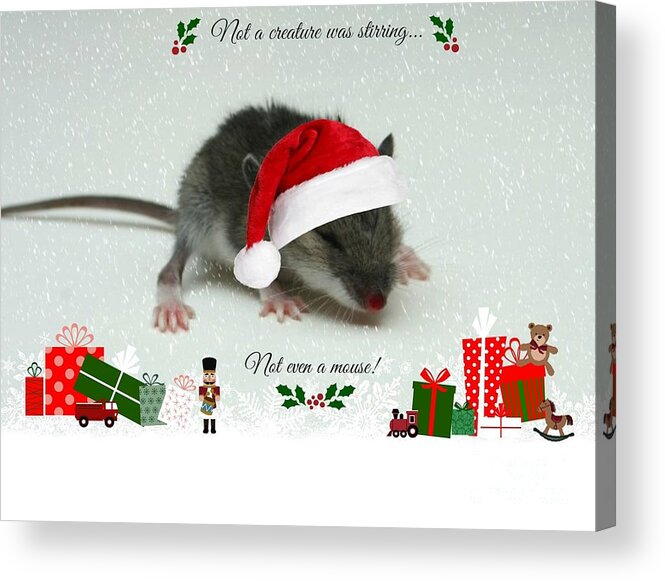 Mouse Acrylic Print featuring the photograph Not A Creature Was Stirring by Barbara S Nickerson