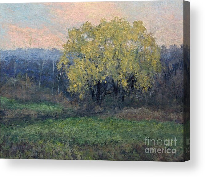Willow Acrylic Print featuring the painting November Willow by Gregory Arnett