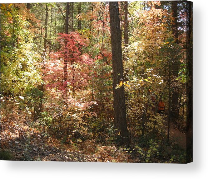 Oak Creek Acrylic Print featuring the photograph Oak Creek Arizona Fall Foliage by Angela Bushman