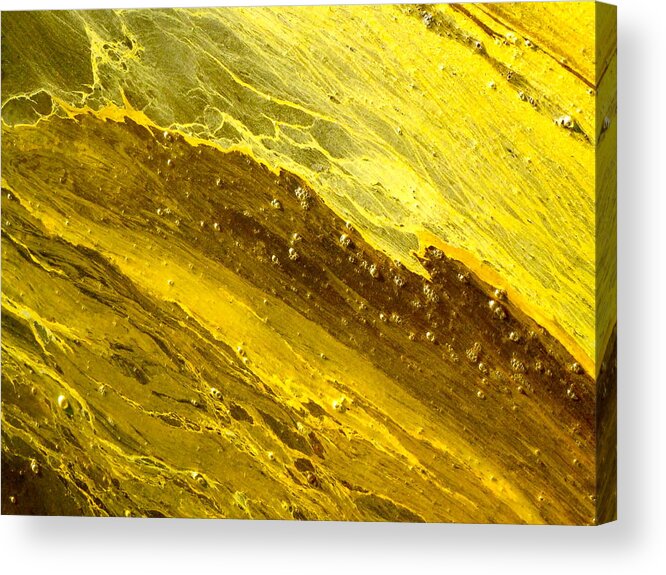 Abstract Acrylic Print featuring the photograph Ode to Pollen by Jean Wright