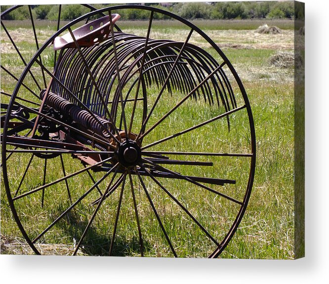 Antique Farm Implement Acrylic Print featuring the photograph Old Hay Rake by Kae Cheatham