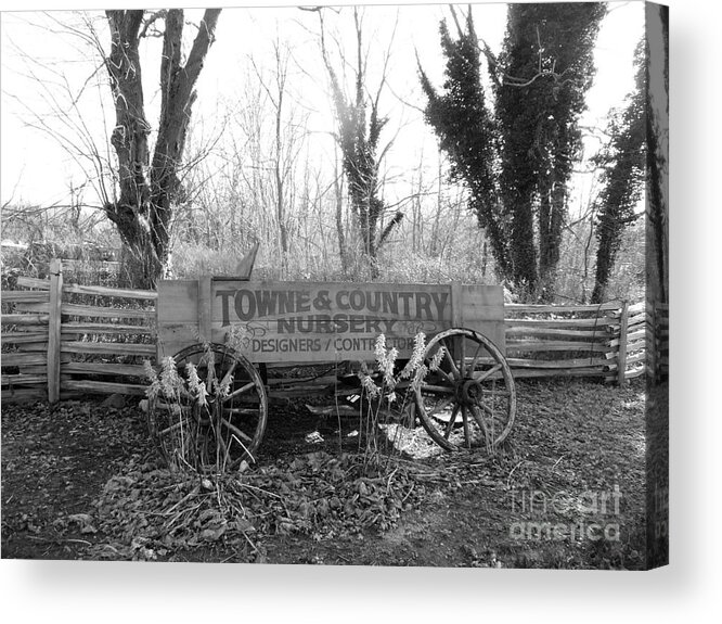 Wagon Acrylic Print featuring the photograph Old Wagon left on the road by Steven Spak