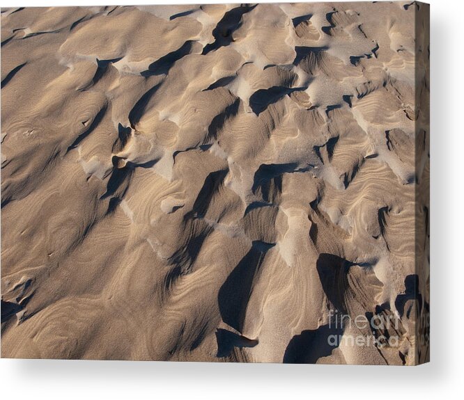 Beach Acrylic Print featuring the photograph One of a Kind by Ann Horn