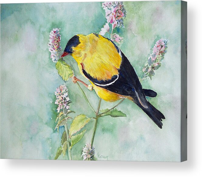 Bird Acrylic Print featuring the painting Orchard Oriole by Christine Lathrop