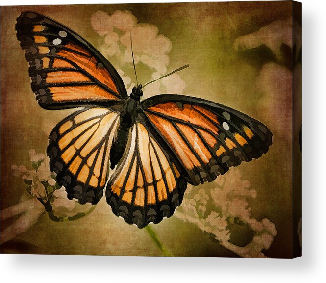 Monarch Butterfly Acrylic Print featuring the photograph Painted Monarch Butterfly by Kathy Clark